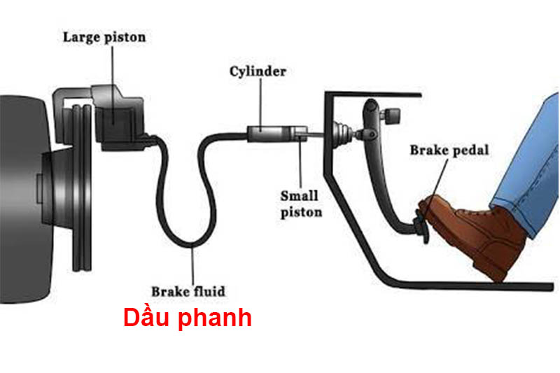 vai tro cua dau phanh