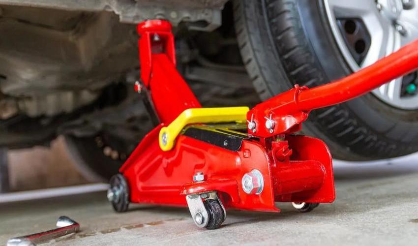 Kích cá sấu 2 tấn 2