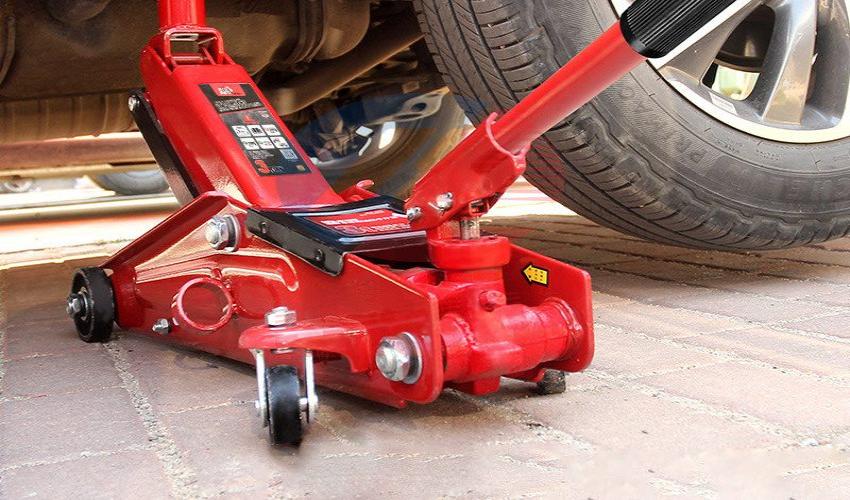 Kích cá sấu 3 tấn 2