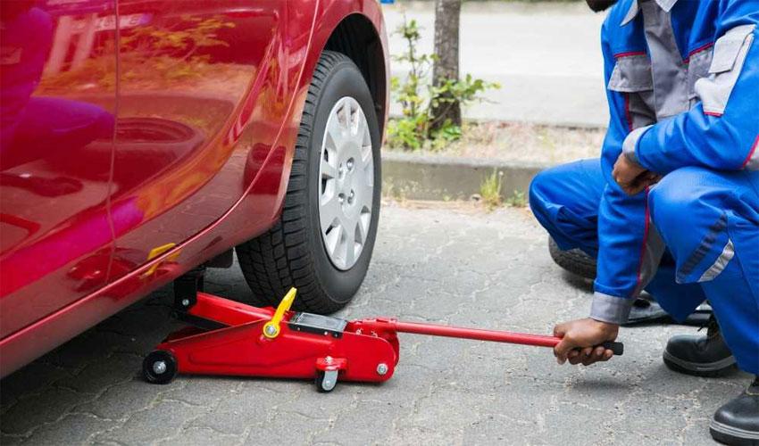 Kích cá sấu 3 tấn 3