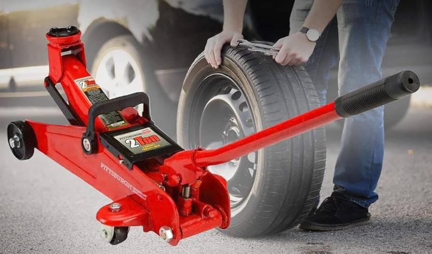 Kích cá sấu tại Thủy Lực Việt