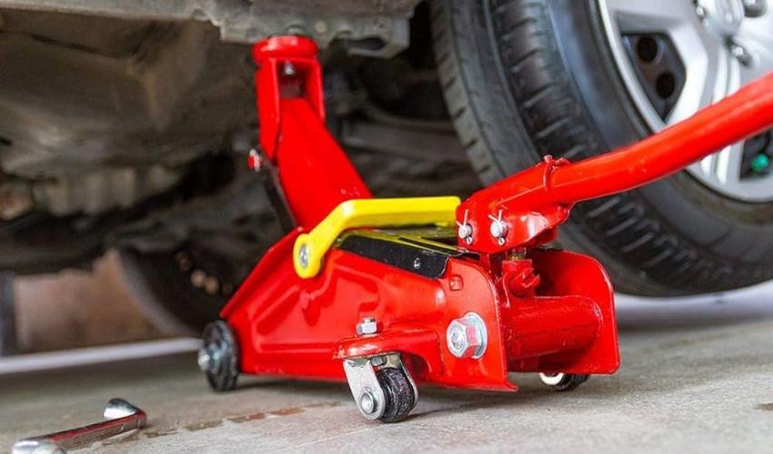 Ứng dụng kích cá sấu